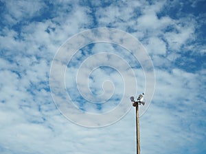 The broadcasting tower is made of cement pillar on the background, is a bright blue sky and empty