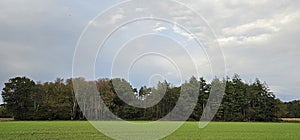 BrocÃ©liande Forest with a Rainbow photo