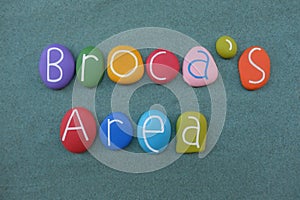 Broca`s area, part of the brain text composed with multi colored stone letters