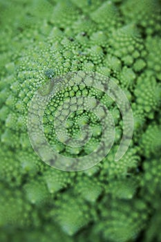 Broccoflower - green cauliflower