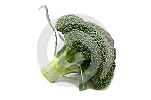 Broccoli_1