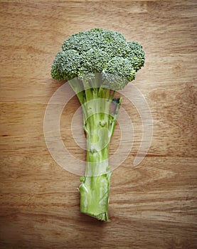 Broccoli