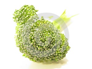 Broccoli