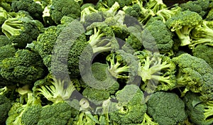 Brokolica 