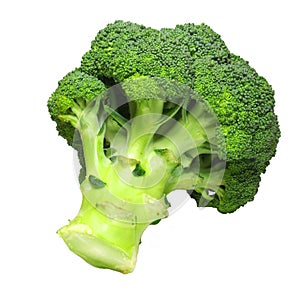 Broccoli photo