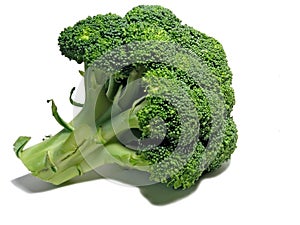 Broccoli