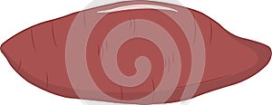 Fresh Sweet Potato Vector Illustration