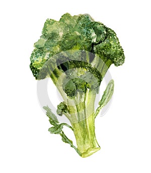 Broccoli