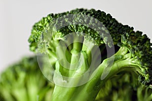 Broccoli 5 photo