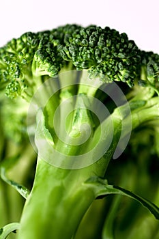 Broccoli 6 photo