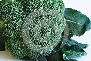 Brokolice 