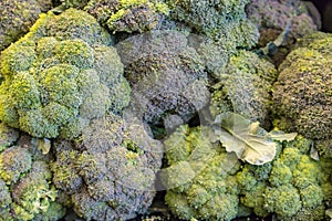 Broccoli as seen on the shelve in a store