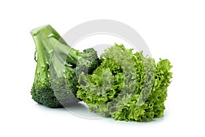 Broccoli and batavia isolated on white background