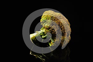 Broccoli on the black background