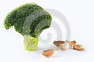 Broccoli branch with garlic on white background.