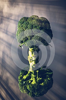 Broccoli branche reflected in a mirror