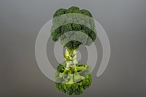 Broccoli branche reflected in a mirror