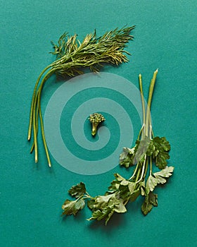Broccoli between the branches of dill and parsley