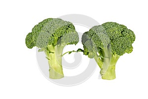 Broccoli. Broccoli isolated on white.
