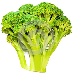 Broccoli cabbage