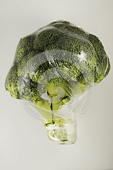 Broccoli cabbage in a plastic bag