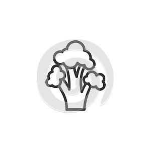 Broccoli cabbage vegetable line icon