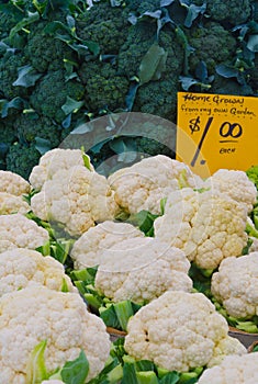 Broccoli and Cauliflowers at farmers market