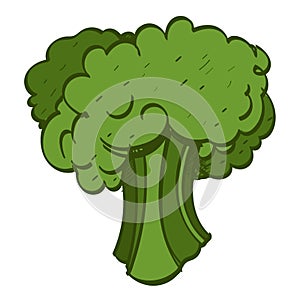 Broccoli color logo
