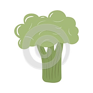 Broccoli colorful vector illustration isolated on white background. Hand drawn style cute doodle art. Agricultural concept.