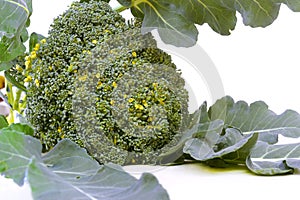 Broccoli. cruciferous vegetables