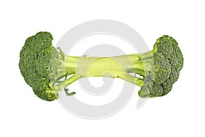 A broccoli dumbbell isolated on white background