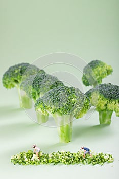 Broccoli and Farmer`s toy