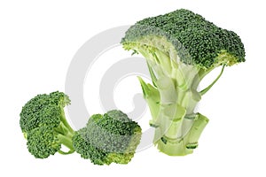 Broccoli Florets