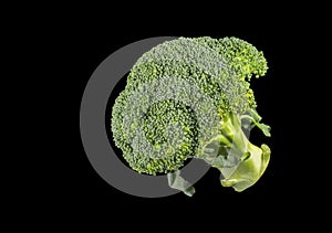 Broccoli Florets Eaten as a Vegetable