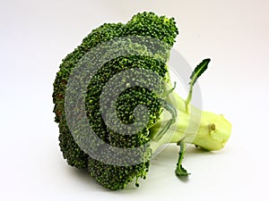 Broccoli Flower
