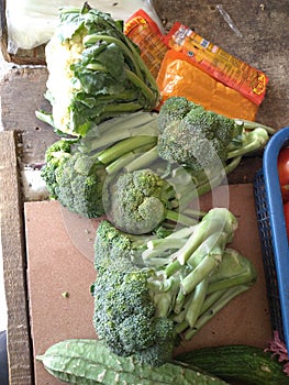 broccoli, a green vegetable plant, is great for vegetarians.