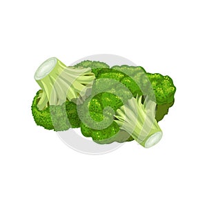 Broccoli group in cartoon style. Fresh farm vegetable. Eco and healthy product. Vector illustration