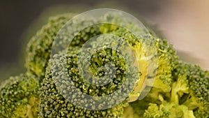 Broccoli gyrating loop.Close up