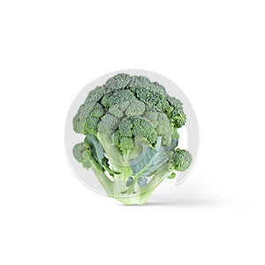 Broccoli head with soft shadow isolated on a white background.