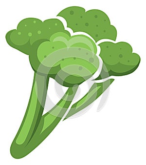 Broccoli icon. Cartoon green diet food vegetable