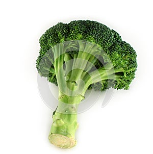 Broccoli isolated
