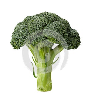 Broccoli isolated