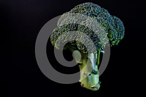 Broccoli isolated on black background, copy space.