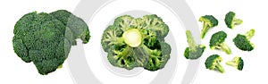 Broccoli isolated on white