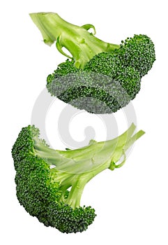 Broccoli isolated on white