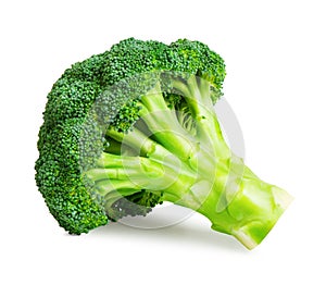 Broccoli isolated on white