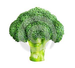 Broccoli isolated on white