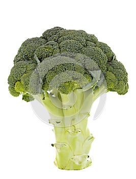 Broccoli isolated on white