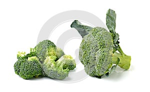 Broccoli isolated on white ackground