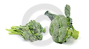 Broccoli isolated on white ackground photo